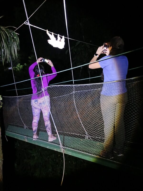 Jungle Night Tour - Image 3