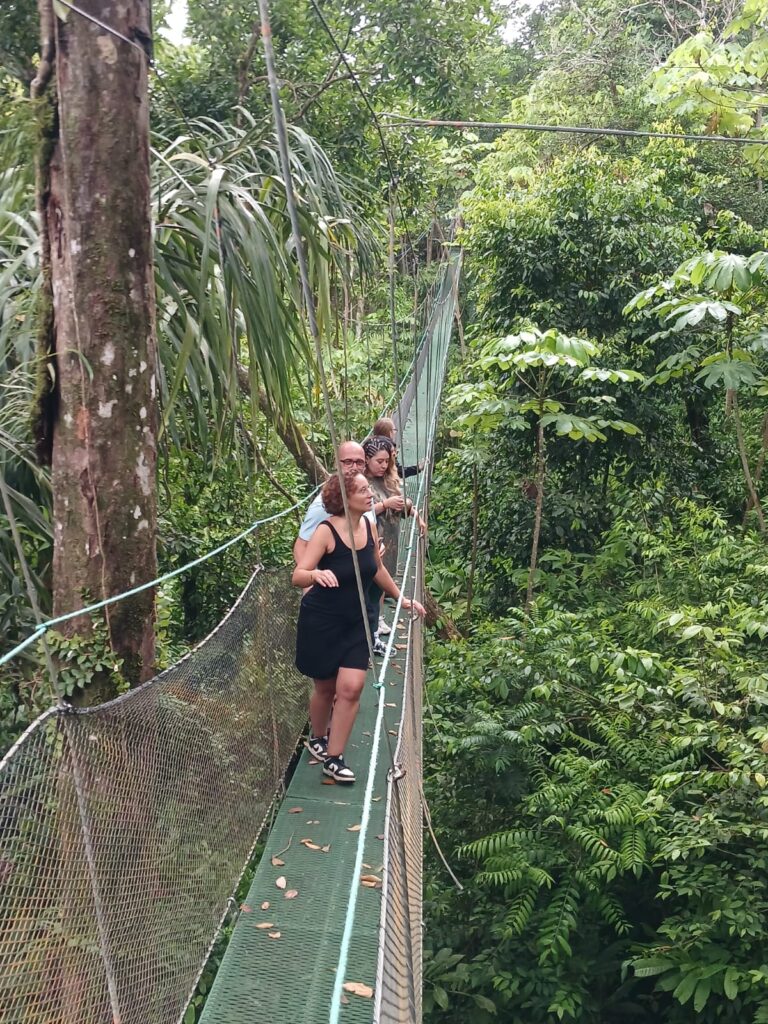 Adventure Activities at Mountain Top Park