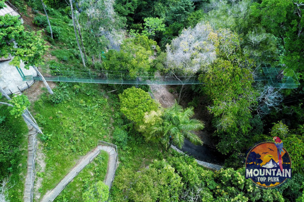 Eco-friendly hotels near Manuel Antonio
