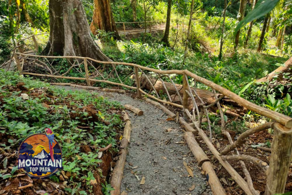 Activities & Wildlife in Quepos best picnic spot in costa rica