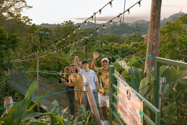 Hanging Bridge Tour Exploring Mountain Top Park